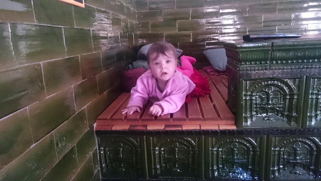 Apartament Turisticna Kmetija Psnak Mojstrana Zewnętrze zdjęcie