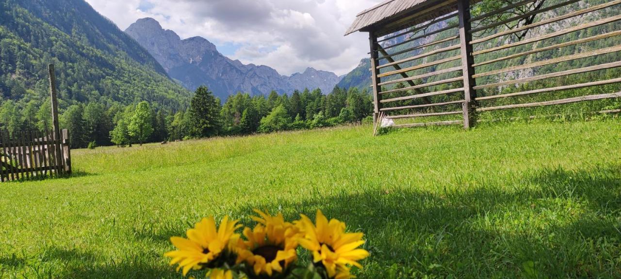Apartament Turisticna Kmetija Psnak Mojstrana Zewnętrze zdjęcie