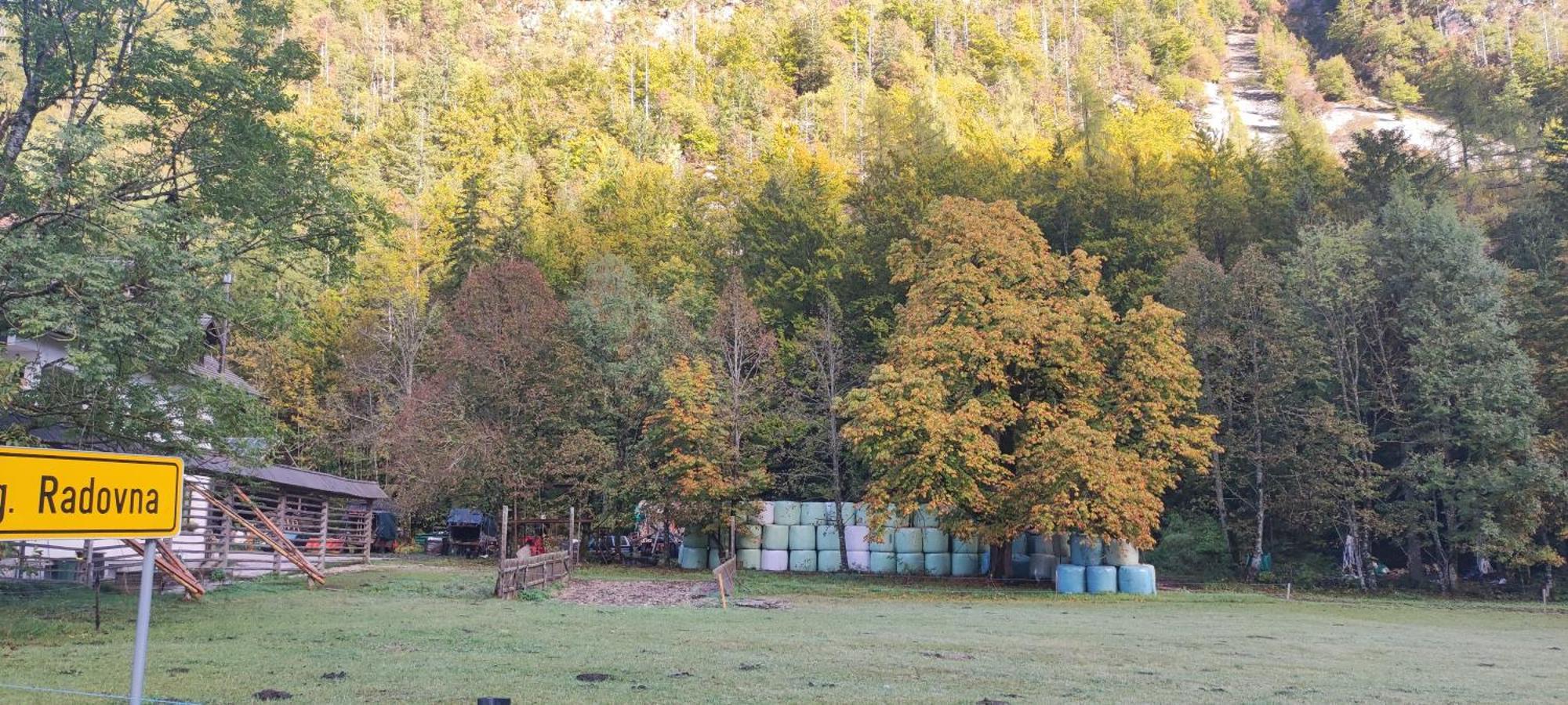 Apartament Turisticna Kmetija Psnak Mojstrana Zewnętrze zdjęcie