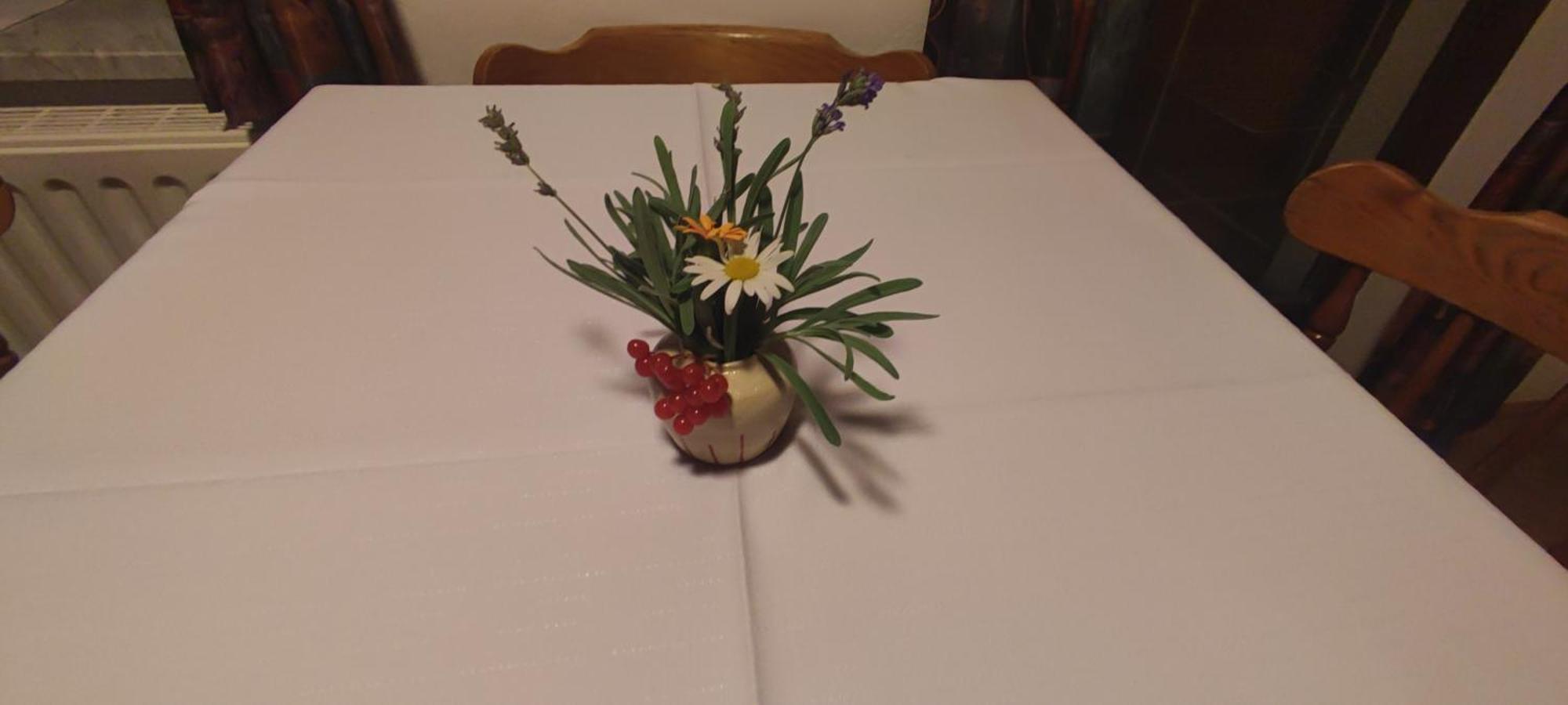Apartament Turisticna Kmetija Psnak Mojstrana Zewnętrze zdjęcie