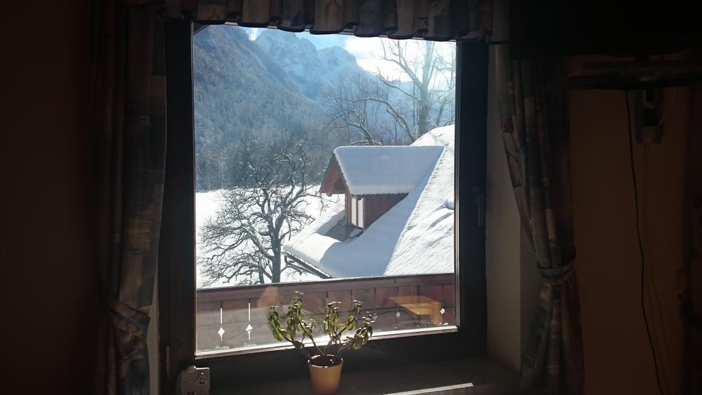 Apartament Turisticna Kmetija Psnak Mojstrana Zewnętrze zdjęcie
