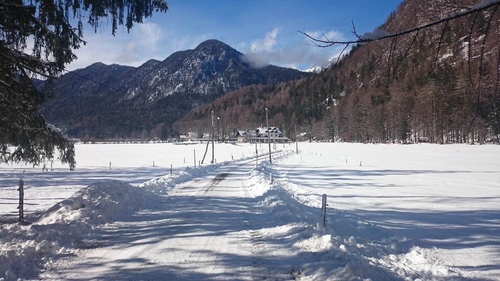 Apartament Turisticna Kmetija Psnak Mojstrana Zewnętrze zdjęcie