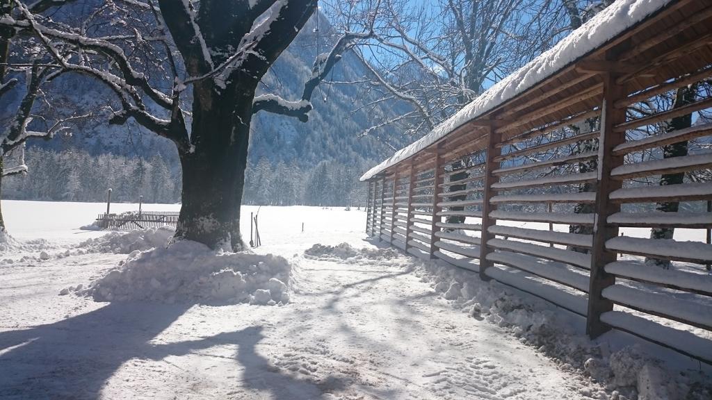 Apartament Turisticna Kmetija Psnak Mojstrana Zewnętrze zdjęcie