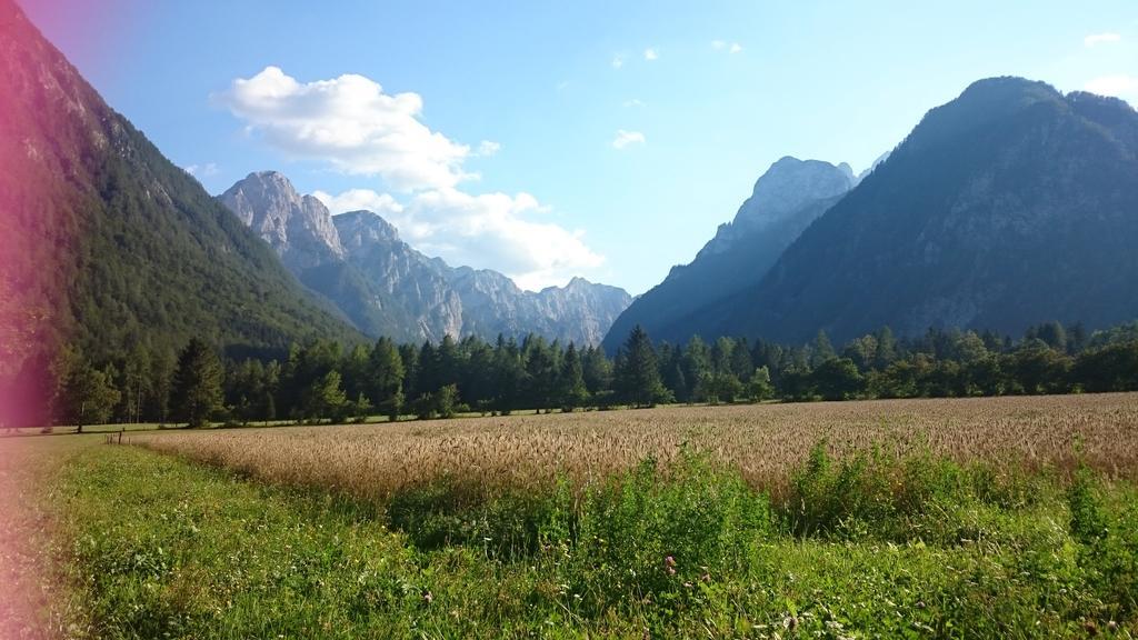 Apartament Turisticna Kmetija Psnak Mojstrana Zewnętrze zdjęcie