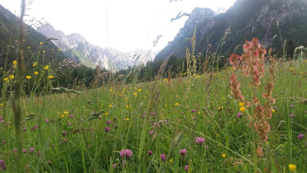 Apartament Turisticna Kmetija Psnak Mojstrana Zewnętrze zdjęcie