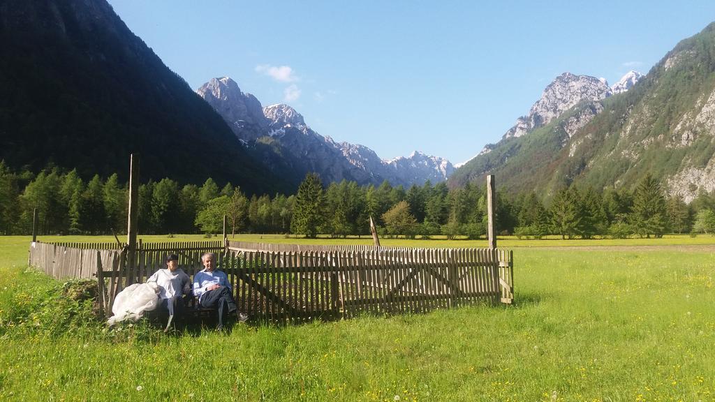 Apartament Turisticna Kmetija Psnak Mojstrana Zewnętrze zdjęcie