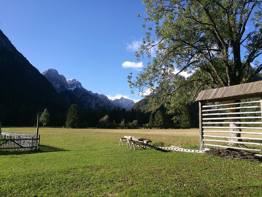 Apartament Turisticna Kmetija Psnak Mojstrana Zewnętrze zdjęcie