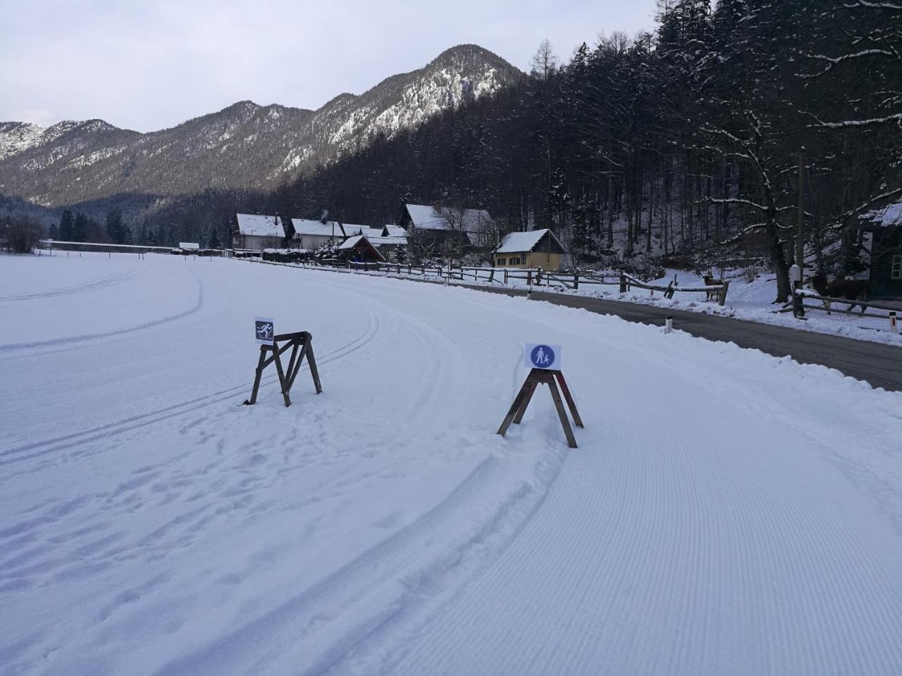 Apartament Turisticna Kmetija Psnak Mojstrana Zewnętrze zdjęcie
